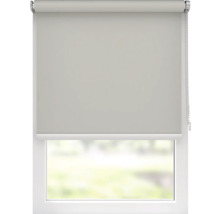 Raam met rolgordijnen voor schaduw