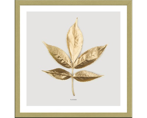 PURE LIVING Schilderij met lijst Golden Leaf I 33x33 cm