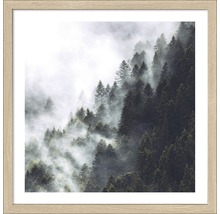 Ingelijste afbeelding met een bos in de mist