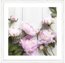 Decoratieve wanddecoratie met pioenrozenmotief in lijst
