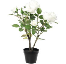 Kunstplant roos in zwarte pot