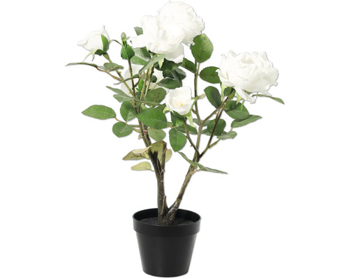 LAFIORA Kunstplant Roos in pot wit H 48 cm Kunstplant roos in zwarte pot