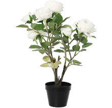 Kunstmatige roos in pot