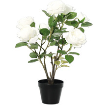 Decoratieve roos in pot