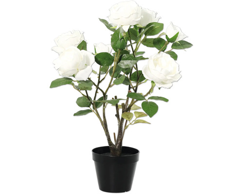 Decoratieve roos in pot