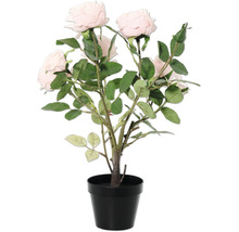 Kunstplant rozenstruik in een zwarte pot