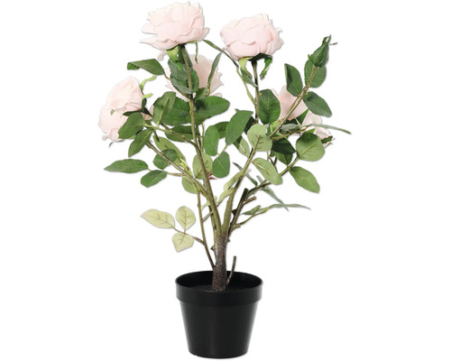 Kunstplant rozenstruik in een zwarte pot