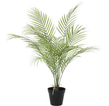 Kunstplant Areca palm in een zwarte pot