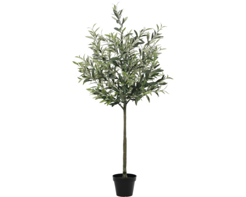 LAFIORA Kunstplant Olijfboom in pot zwart H 67 cm Kunstmatige olijfboom in pot