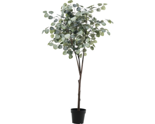 LAFIORA Kunstplant Eucalyptus in pot zwart H 150 cm Eucalyptusboom in pot als decoratie