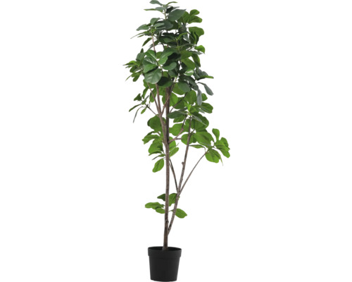 LAFIORA Kunstplant Ficus in pot zwart H 180 cm Kunstmatige kamerplant in pot met groene bladeren.