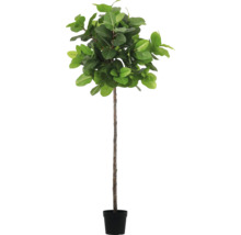 Kunstmatige Ficus Lyrata in pot