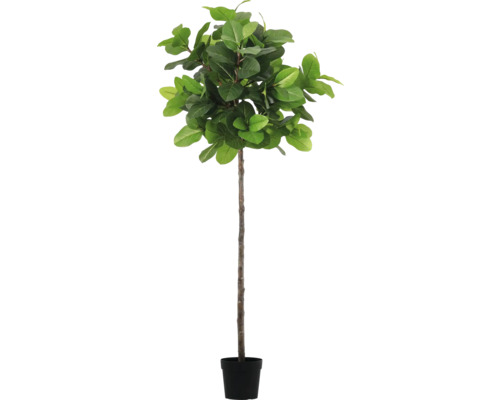 LAFIORA Kunstplant Ficus altissima in pot zwart H 204 cm Kunstmatige Ficus Lyrata in pot