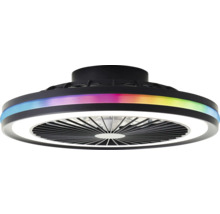 Plafondventilator met verlichting