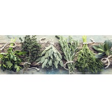 Diverse kruidenbundels op een houten oppervlak