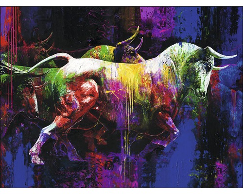 PURE LIVING Schilderij canvas Colourful Bull II 116x84 cm