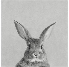 PURE LIVING Schilderij canvas Rabbit 27x27 cm