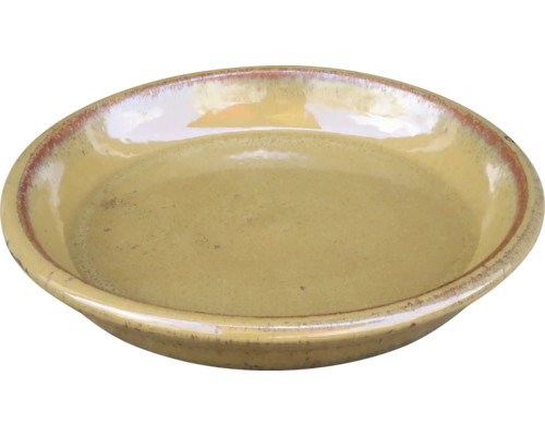 Ondiepe keramische schaal