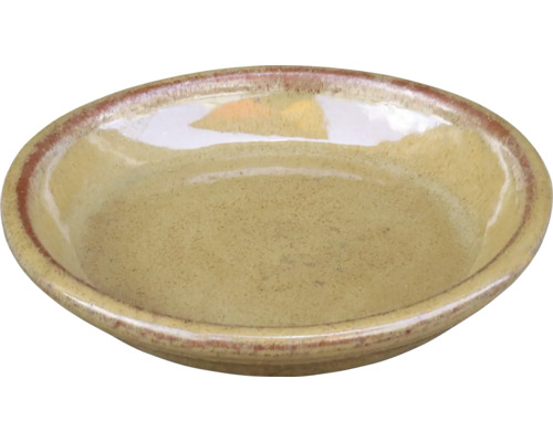 Kleine keramische schaal