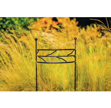 Metalen plantensteun in tuinbed