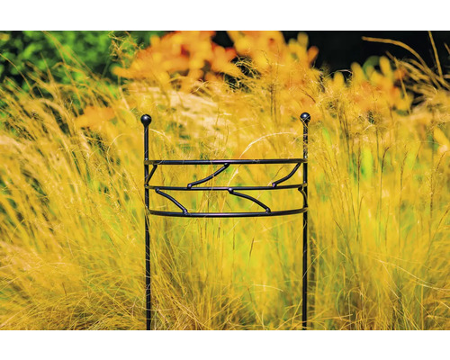 Metalen plantensteun in tuinbed