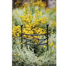 Plantensteun van metaal in bloembed