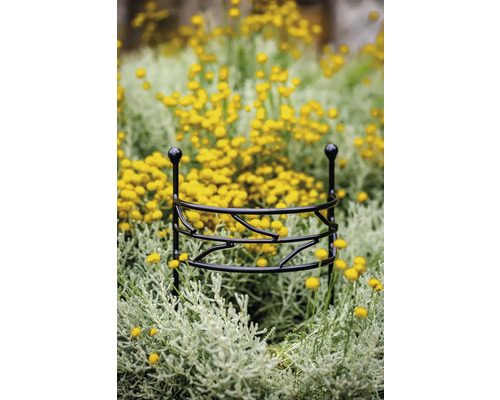 Plantensteun van metaal in bloembed