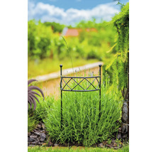 Tuin met plantensteun in bloembed