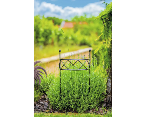 Tuin met plantensteun in bloembed