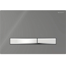 Geberit bedieningsplaat voor toiletspoeling