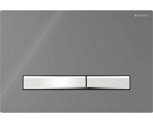 GEBERIT Bedieningsplaat Sigma50 spiegel rookglas Geberit bedieningsplaat voor toiletspoeling