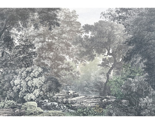 KOMAR Fotobehang vlies Fairytale Forest 400x280 cm