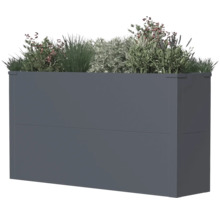 Rechthoekige plantenbak met diverse planten