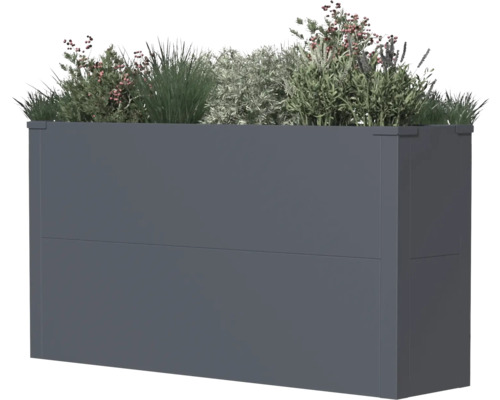 Rechthoekige plantenbak met diverse planten