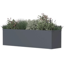 Rechthoekige plantenbak met beplanting