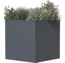 Hoge plantenbak met diverse planten