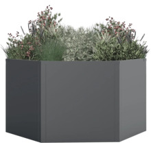 Zeshoekige plantenbak met beplanting