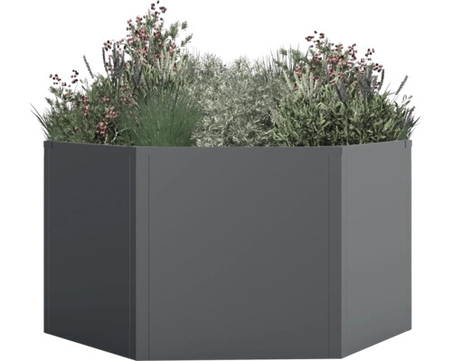 Zeshoekige plantenbak met beplanting