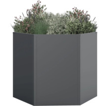 Grijze metalen plantenbak met beplanting