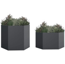 Twee antracietkleurige plantenbakken met beplanting