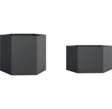 Twee zeshoekige metalen plantenbakken