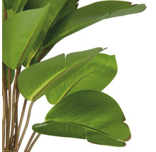 Close-up van een kunstmatige Strelitzia met groene bladeren en bruine stengels.