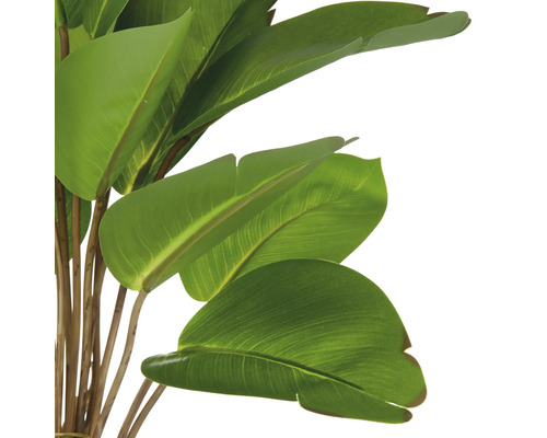 Close-up van een kunstmatige Strelitzia met groene bladeren en bruine stengels.