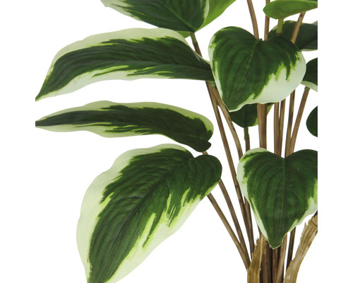 Kunstplant met groen-witte bladeren