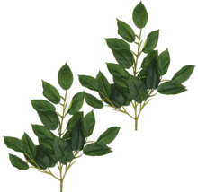 Twee takken met bladeren