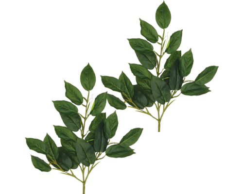 Twee takken met bladeren