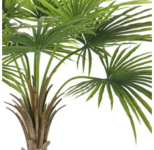 Detailopname van een kunstmatige waaierpalm met groene bladeren