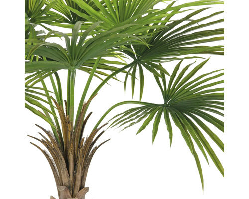 Detailopname van een kunstmatige waaierpalm met groene bladeren