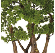 Close-up van een kunstmatige bonsaiboom met groene bladeren en een bruine stam.