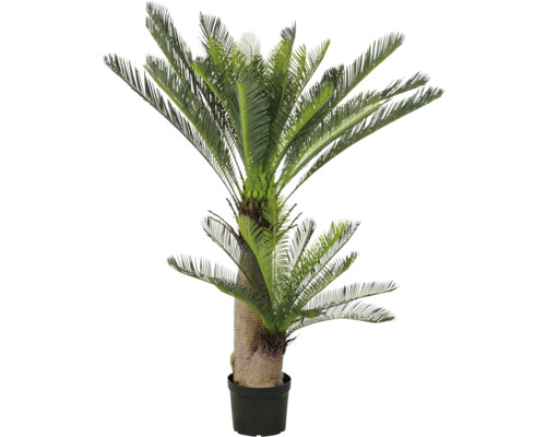 Kunstmatige sagopalmvaren in pot